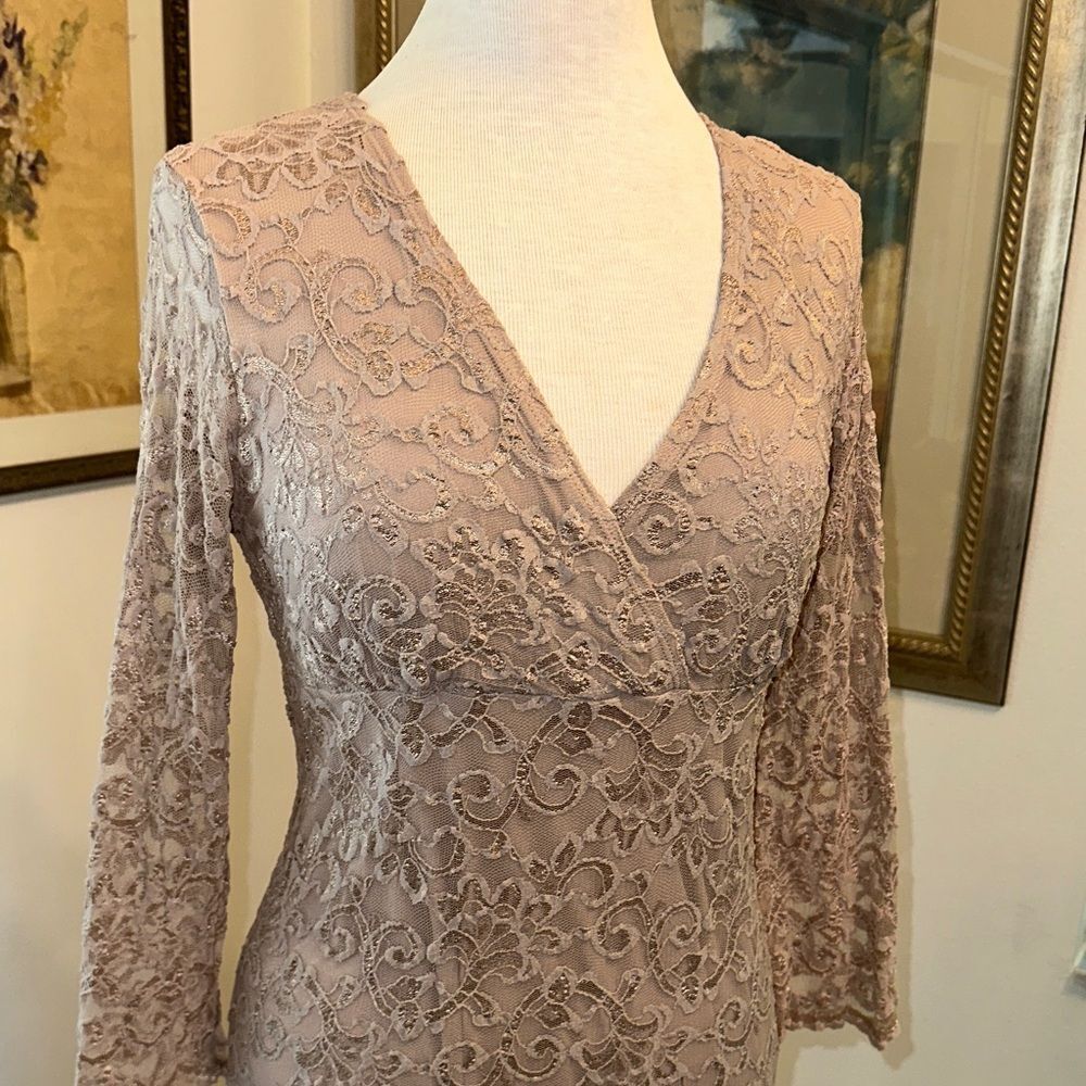 E. R. G. Collection Elegant Gold Shimmer Lace Dress Size Large View 4